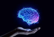 Delayed REM Sleep: An Early Alzheimer’s Warning