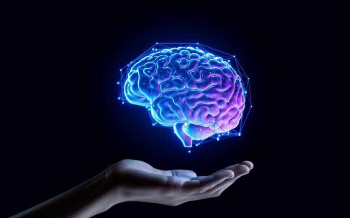 Hand,Holding,Human,Brain,-,Futuristic,Concept,Of,Intelligence,,Science