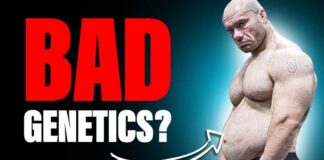 The Impact Of Genetics On Building Muscle And Shedding Fat