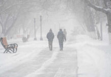 People walking in a snowy park during a blizzard