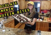 CHOCOLATE PUMPKIN PROTEIN BITES