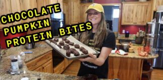 CHOCOLATE PUMPKIN PROTEIN BITES