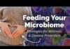 Feeding Your Microbiome: Dietary Strategies for Wellness and
