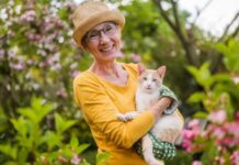 House Cats Hold Key to New Cancer Cure The Surprising Cancer Connection: Cats and Humans
