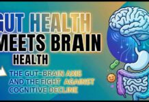 Gut Health Meets Brain Health: The Gut–Brain Axis and the Fight Against Cognitive Decline