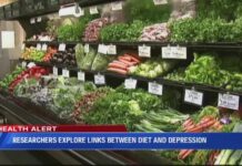 Researchers explore links between diet and depression