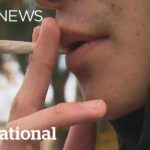 Researchers suggest link between cannabis use and rise in psychotic disorder diagnoses