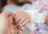 Baby Surgery Without Sleep? Believe It A childs hand with an IV drip being held by an adult hand