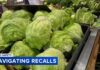 How Shopping Habits Are Changing Amid The Cyclosporiasis Outbreak Shoppers adjust grocery lists amid lettuce outbreak and egg recall concerns