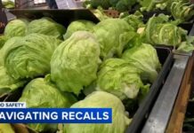 How Shopping Habits Are Changing Amid The Cyclosporiasis Outbreak Shoppers adjust grocery lists amid lettuce outbreak and egg recall concerns