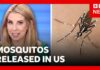 Thousands of mosquitos being released in Washington DC | BBC News