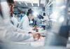 Common Environmental Exposure Increases Your Leukemia Risk Scientists working in a laboratory with microscopes and test tubes