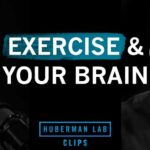 How to Exercise For Improved Cognitive Function | Dr. Tommy Wood & Dr. Andrew Huberman