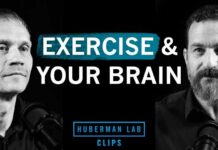 How to Exercise For Improved Cognitive Function | Dr. Tommy Wood & Dr. Andrew Huberman