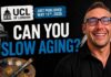 Art Slows Aging Faster Than Exercise. Here Is What Is Actually Happening.