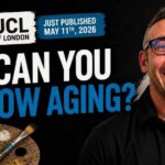 Art Slows Aging Faster Than Exercise. Here Is What Is Actually Happening.