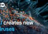 AI just created viruses that never existed before: Should we be worried? | DW News