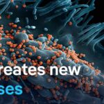 AI just created viruses that never existed before: Should we be worried? | DW News
