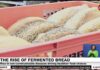 The Rise of Fermented Bread