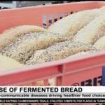The Rise of Fermented Bread