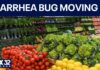 Cyclospora outbreak expands to certain fruits: What to know