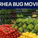 Cyclospora outbreak expands to certain fruits: What to know