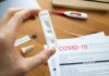 Hand holding a COVID-19 rapid test cassette
