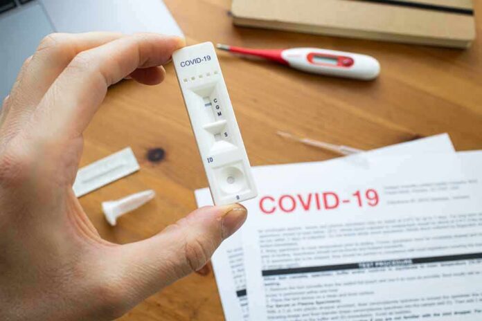 Hand holding a COVID-19 rapid test cassette