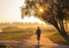 Walking Hack Stuns Scientists—Skip The Music Man walking dog along sunlit path through trees