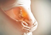 Pregnant belly with illustration of fetus inside