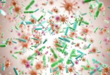 WHO Bombshell: Cancer’s Infectious Engine Colorful microscopic bacteria and viruses floating in space