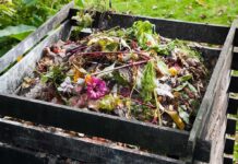 Halloween Trash Is Cooking The Planet A compost pile filled with various organic materials and flowers