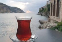 Tea Drinkers’ Survival Edge Stuns Scientists Glass of tea on a saucer by the seaside