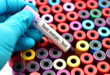 Gloved hand holding blood vial over colorful test tubes